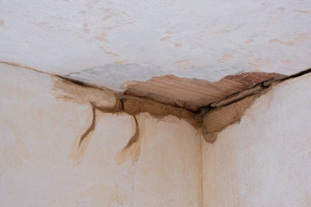 Best Basement water damage restoration  in Saugatuck, CT
