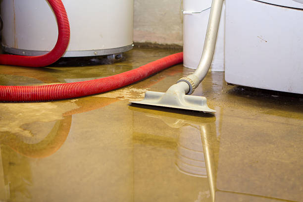 Best Water damage restoration near me  in Saugatuck, CT